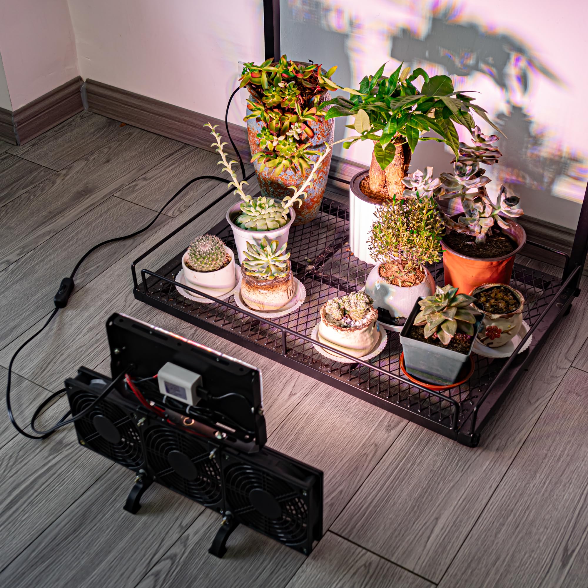 Amazon.co.jp: STGGTS 植物育成用送風機 植物育成用ライト 植物